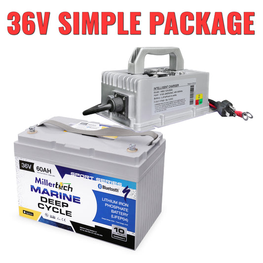 36V Simple Package