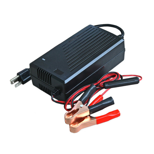 MillerTech 12V 10A Lithium Iron Phosphate Battery Charger (1210C)